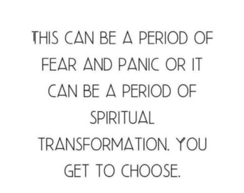 490128200_10222619480994829_2195114509514548673_n