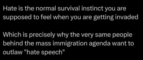 image_2025-04-12_101329352