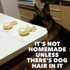 FB_IMG_1744495700239