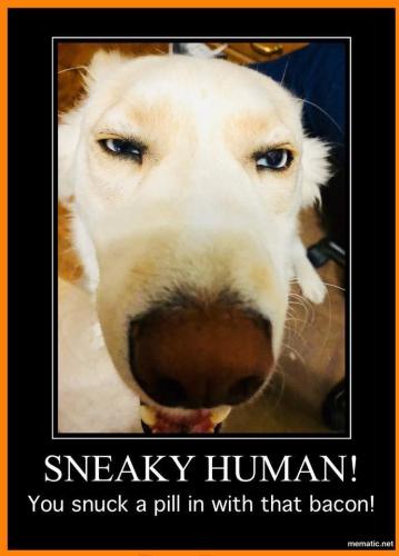 FB_IMG_1744748811853