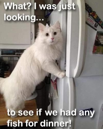 FB_IMG_1745085059730