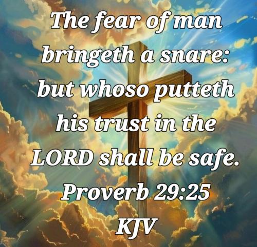 754b2f10-f5a2-47ca-91b3-6b880a6a91c4