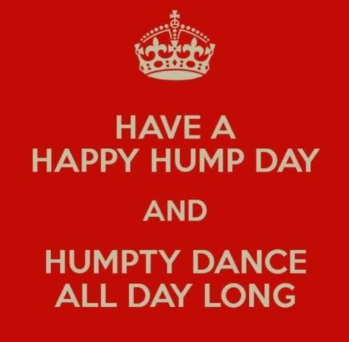 Screenshot_20250416_075050_Gallery