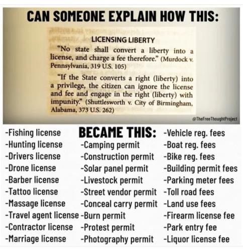 Screenshot_20250417-053110_Brave