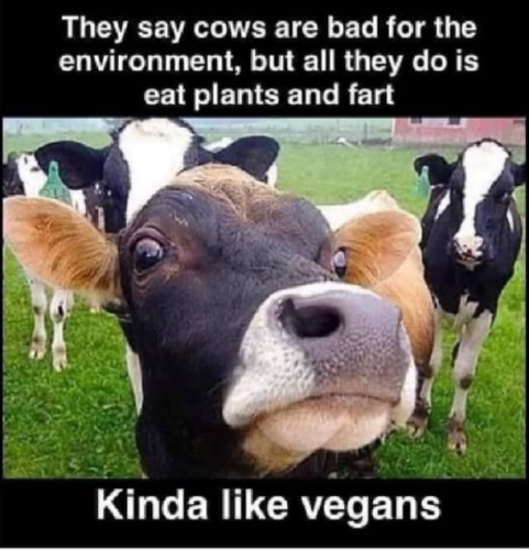 Screenshot 2025-03-30 132212