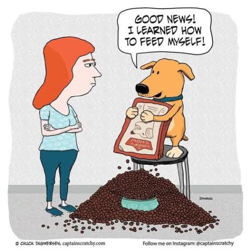 FB_IMG_1745607581436