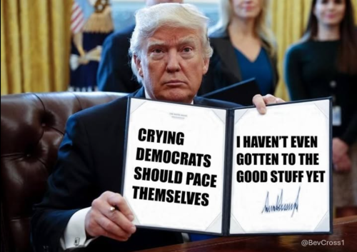 Screenshot 2025-05-03 141532