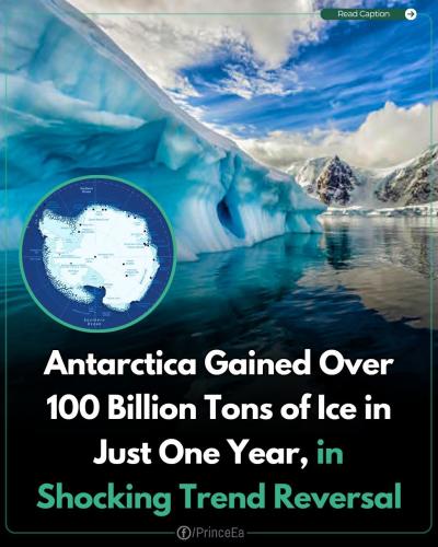 FB_IMG_1747587217642