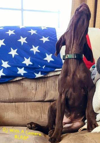 Screenshot_20250523_073130_Gallery