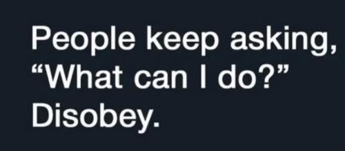 photo_2025-05-27_17-48-22