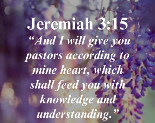 a2215d4d-b918-4da3-8236-9757c09c0e78