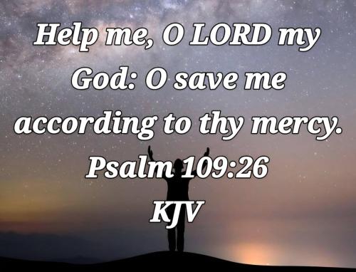 86c42afd-3dce-4784-a63a-b424dd563982