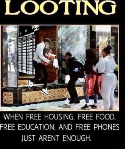 d84b272a6ea3263cd0e8881ef41afcf475a2fd65dfb928bdafb8e67d6a140782_1