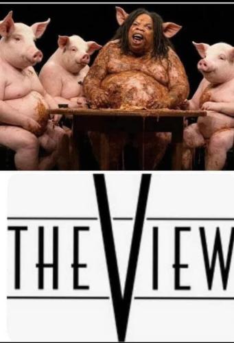 FB_IMG_1747757181737