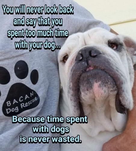 FB_IMG_1747866695838