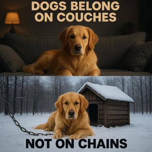 FB_IMG_1748272887200