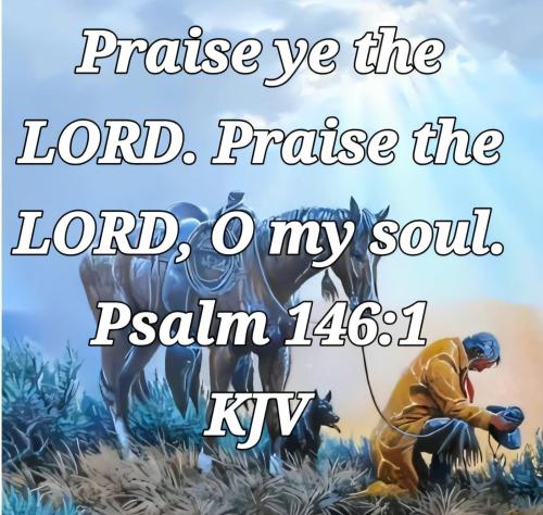 b46a67df-1b77-43ff-ade2-6e92c3178f48