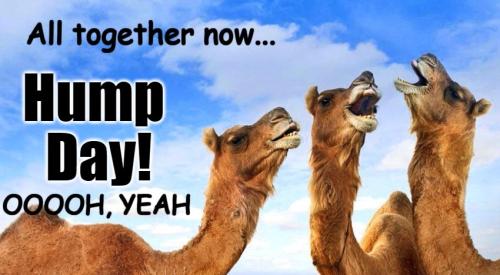 1-Hump Day
