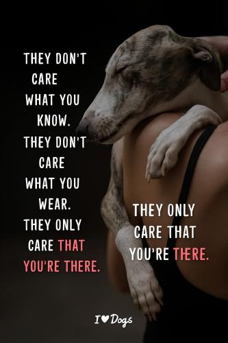 FB_IMG_1748091226524