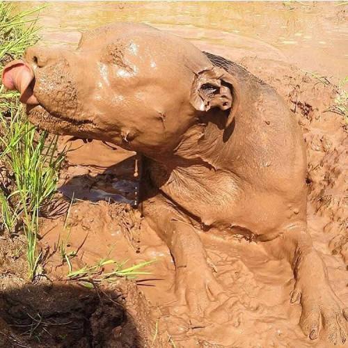 FB_IMG_1748301446217