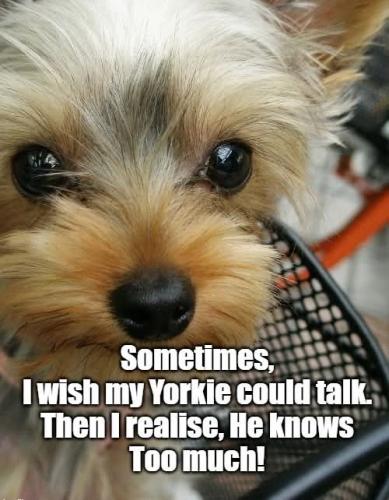 FB_IMG_1746122473537