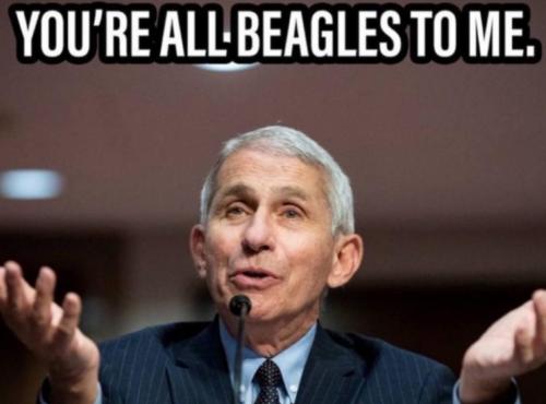 photo_2025-05-10_17-44-59