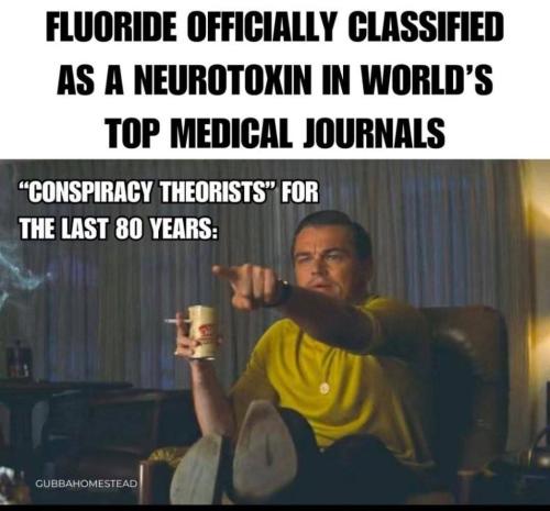 photo_2025-05-04_18-35-42