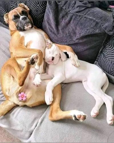 FB_IMG_1747434315448