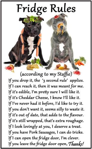 a956137f47aef1bfecc3ef3ae207f6a6