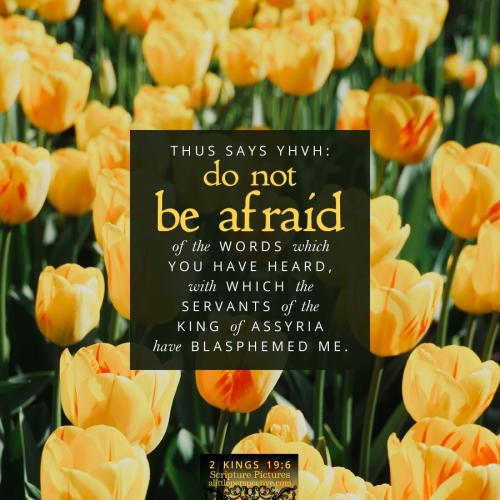 2-kin-19-6-NKJV-unsplash