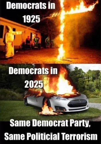 image_2025-05-17_115034911