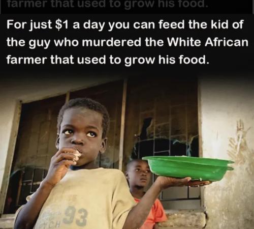 Screenshot_20250523-044931_Brave