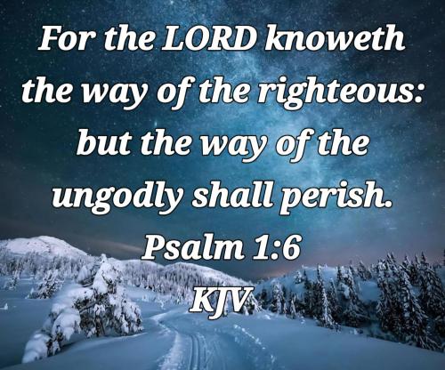 0e33fed0-688e-45e2-8ebb-025d0f73990e