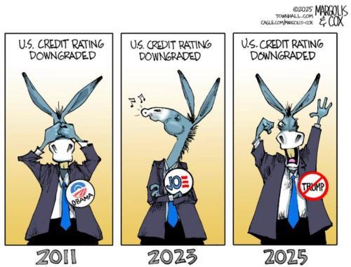 1dcb285d-894f-49ea-8716-61a7fb0ec25a_1030x786