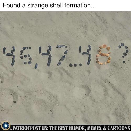 01JVRHV3HCN7WC4V5BHTZ6ZRMW