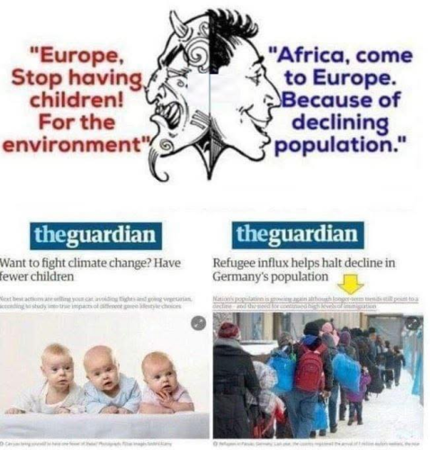 image_17D03F83-2A8F-4439-BF90-BCB46A970906