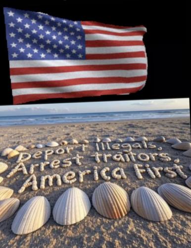 b315996c9e0ae51fc62149af6ea1a451