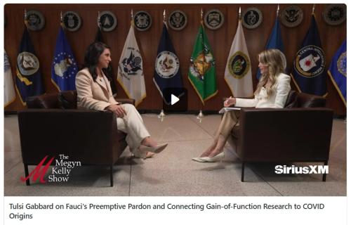 Tulsi Gabbard on Fauci screenshot
