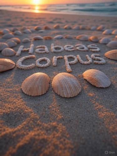 eeb18953-472f-4c54-9f95-187fd5ad4841