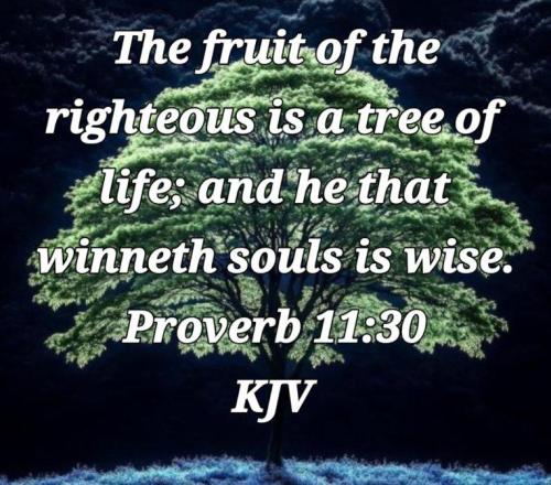 8b77c967-4718-44a2-81c4-25df8461a742