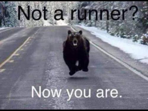 IMG_20250508_144851_340