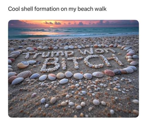 abc026c3-7c2d-44a1-b599-269b55d61778