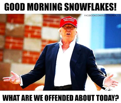 FB_IMG_1746227490427