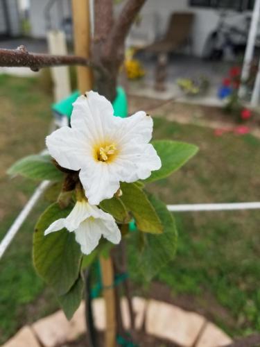 b33cd4c7-ce98-4598-83ed-ff91f827e4ea