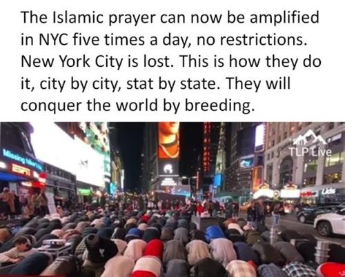 Say it isn't so ragheads