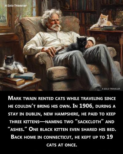 FB_IMG_1746362043564