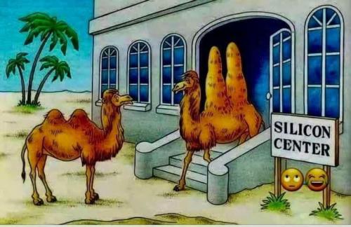 image_F9ECE4B6-7181-4F7D-A969-BF5A779C31FA