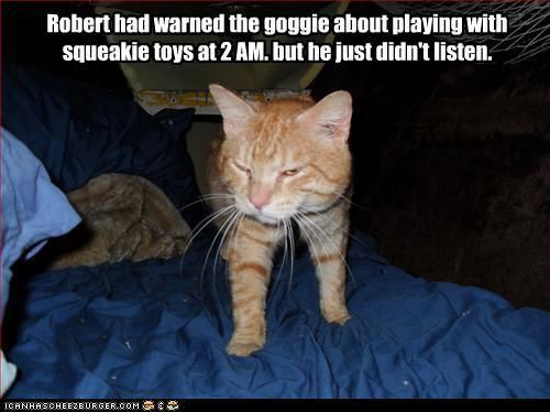 9f04e26d06ba1ccf4c6fa3b7e067b89b