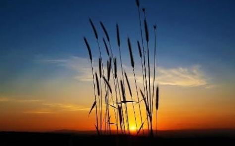 6bf76de3-05ee-451c-9254-e52e2183aec9