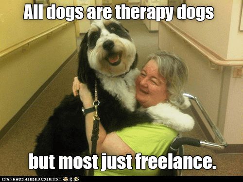 70307a28c0318a346961d15fdc9cbadb